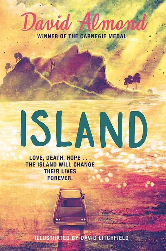 Бумажная книга «Island. Illustrated edition», автор Дэвид Алмонд - фото №1