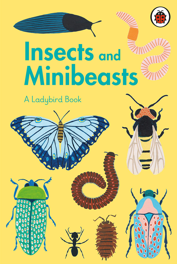Бумажная книга «Insects and Minibeasts: A Ladybird Book» - фото №1
