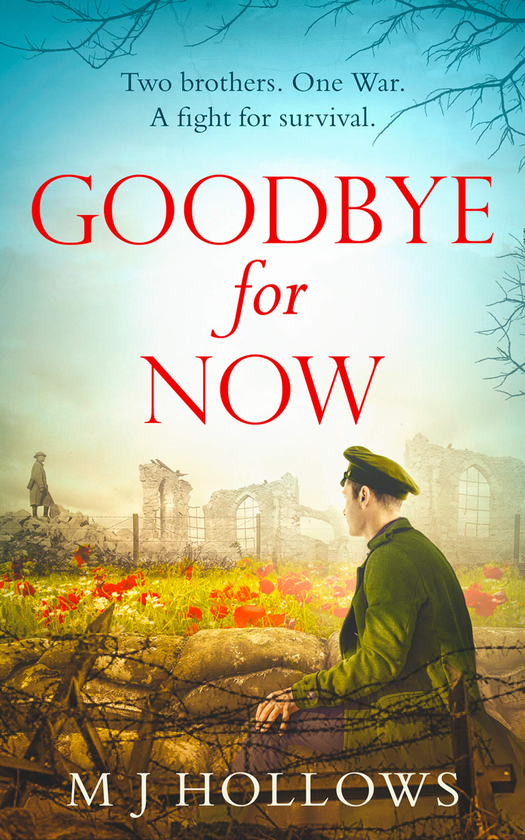 Бумажная книга «Goodbye for Now», автор М. Дж. Холлоус - фото №1