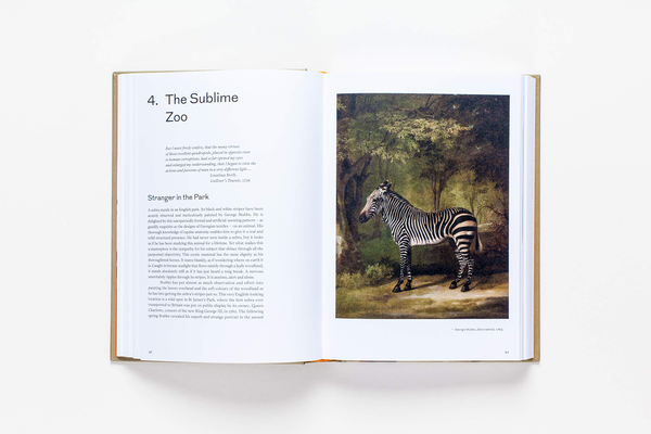 Бумажная книга «Sensations. The Story of British Art from Hogarth to Banksy», автор Джонатан Джонс - фото №1