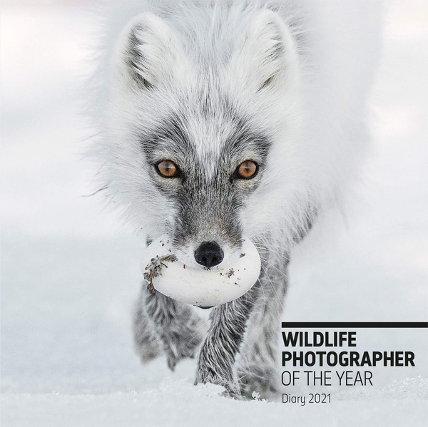 Бумажная книга «Wildlife Photographer of the Year Desk Diary 2021» - фото №1