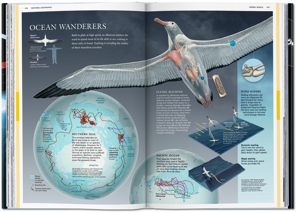 Паперова книга «National Geographic Infographics» - фото №1