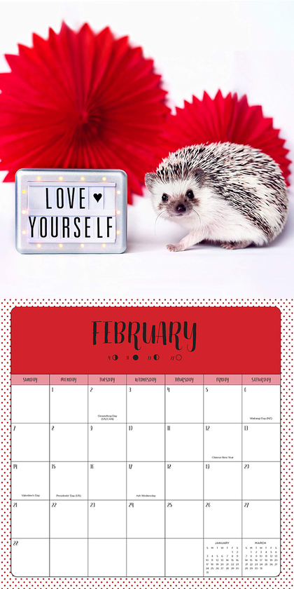 Паперова книга «Adorable Hedgehogs 2021» - фото №1