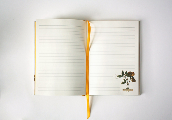 Паперова книга «Emily Dickinson Notebook» - фото №1