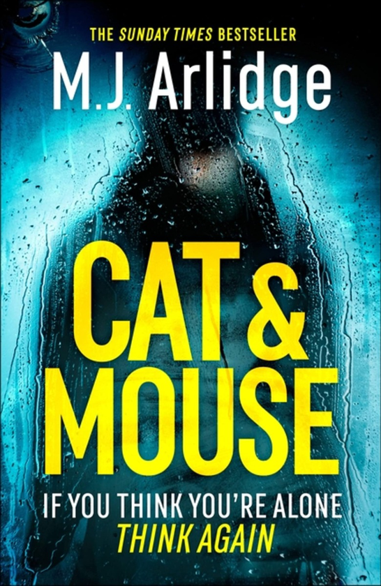 Бумажная книга «Cat And Mouse», автор М. Дж. Арлидж - фото №1