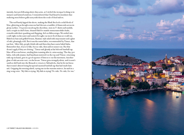 [object Object] «Black Sea: Dispatches and Recipes – Through Darkness and Light», автор Кэролайн Иден - фото №5 - миниатюра