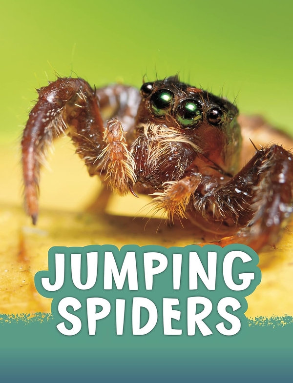 [object Object] «Jumping Spiders», автор Жаклін Джейкокс - фото №1