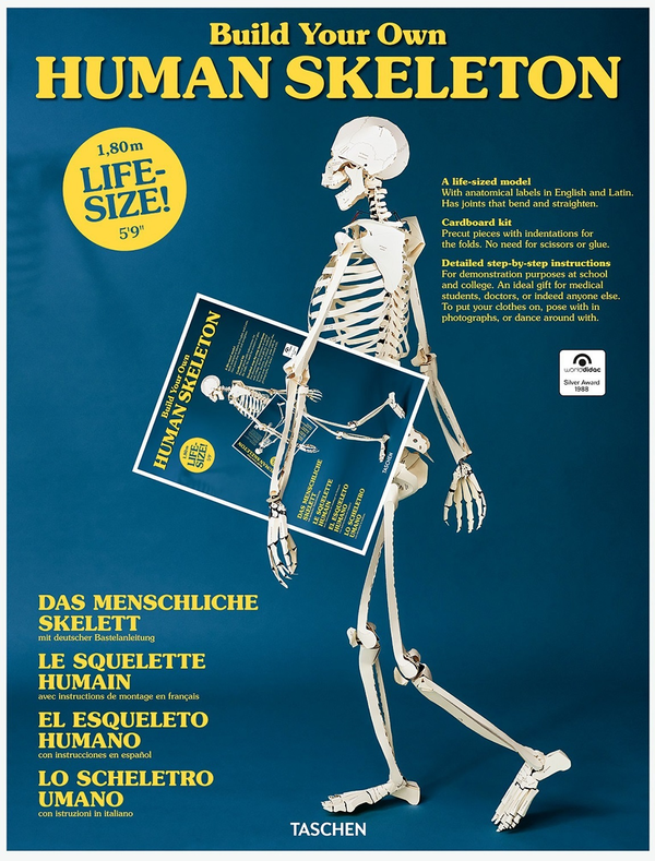 [object Object] «Build Your Own Human Skeleton» - фото №1