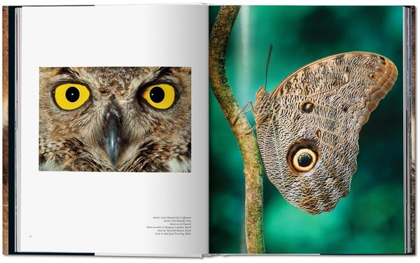Бумажная книга «Frans Lanting. Eye to Eye», автор Кристина Экстром - фото №1