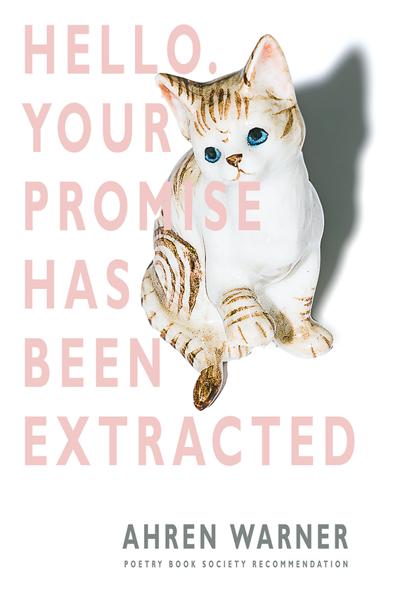 Бумажная книга «Hello. Your promise has been extracted», автор Арен Уорнер - фото №1
