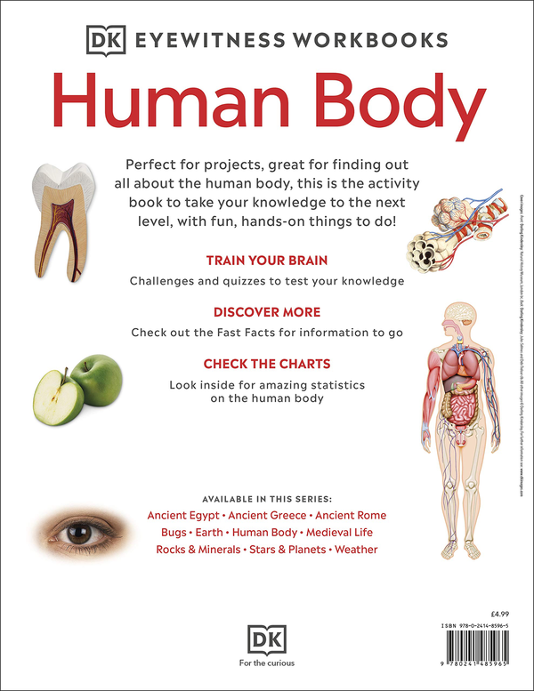Бумажная книга «Human Body Workbook» - фото №1