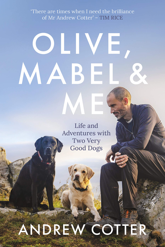 Паперова книга «Olive, Mabel and Me », автор Ендрю Коттер - фото №1