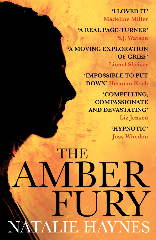 Бумажная книга «The Amber Fury», автор Натали Хейнс - фото №1