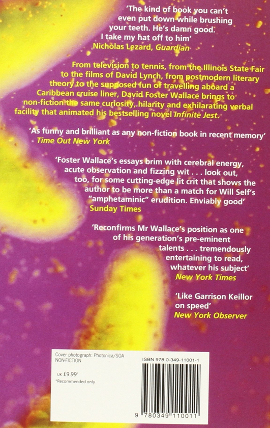 Бумажная книга «A Supposedly Fun Thing I'll Never Do Again», автор Дэвид Фостер Уоллес - фото №1