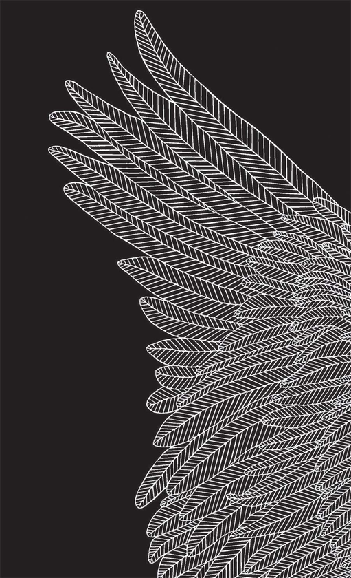 Бумажная книга «Brave Birds Journal (Hardcover)» - фото №1