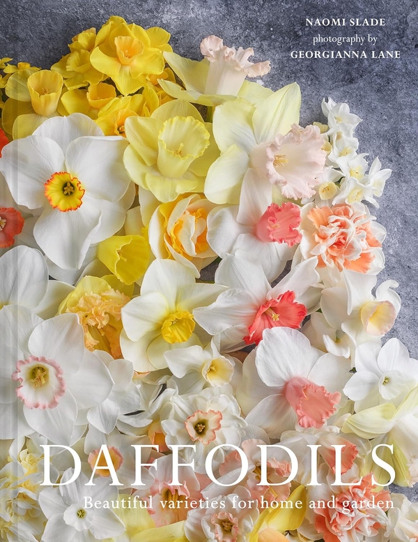 Паперова книга «Daffodils», авторів Джорджіана Лейн, Наомі Слейд - фото №1