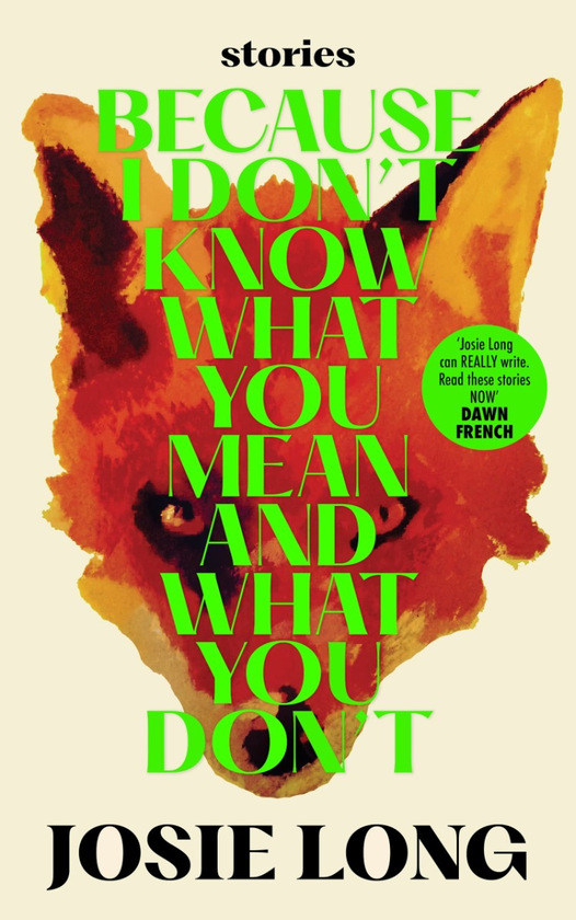 Бумажная книга «Because I don't know what you mean and what you don't», автор Джози Лонг - фото №1
