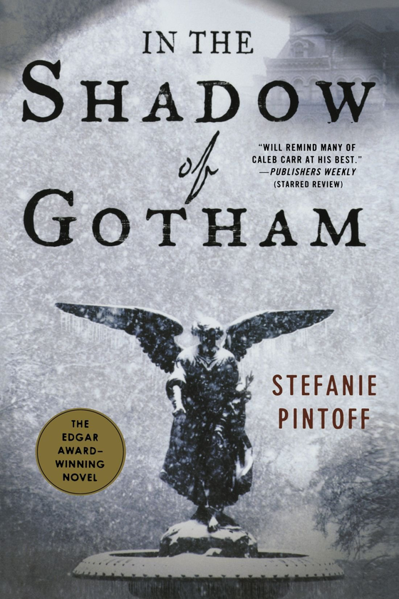 Паперова книга «In the Shadow of Gotham», автор Стефані Пінтофф - фото №1