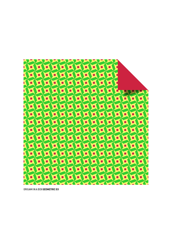 Бумажная книга «192 Origami Folding Papers in Geometric Patterns» - фото №1