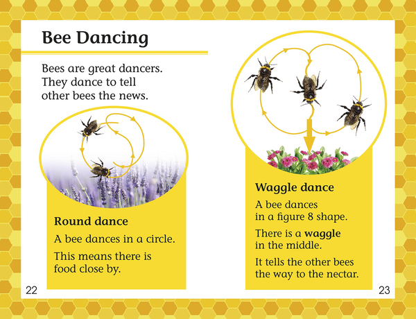 Бумажная книга «Amazing Bees. Buzzing with Bee Facts! » - фото №1
