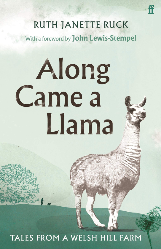 Бумажная книга «Along Came a Llama», автор Рут Джанетт Рак - фото №1