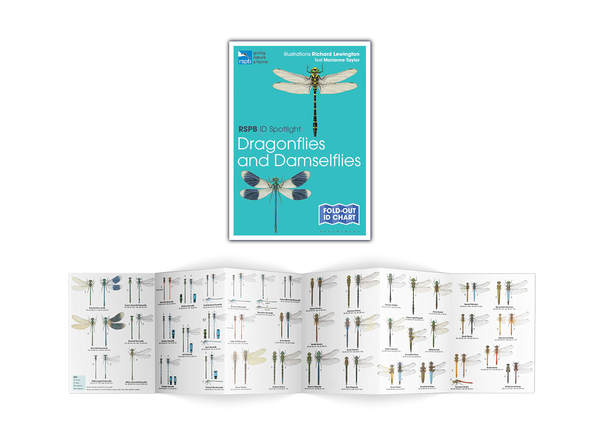 Бумажная книга «RSPB ID Spotlight - Dragonflies and Damselflies», автор Марианна Тейлор - фото №1