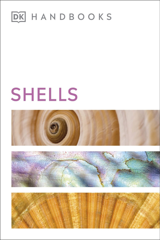 Паперова книга «Handbooks Shells» - фото №1