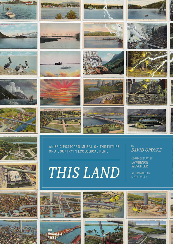 Паперова книга «This Land», авторів Лоуренс Вешлер, Девід Опдайк - фото №1