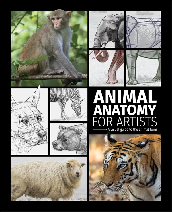 [object Object] «Animal Anatomy for Artists» - фото №1