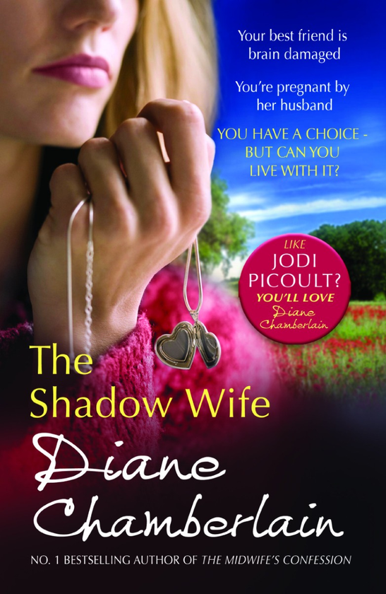 Бумажная книга «The Shadow Wife», автор Диана Чемберлен - фото №1