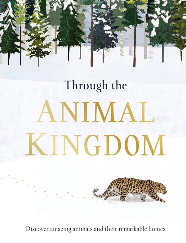 Паперова книга «Through the Animal Kingdom. Discover Amazing Animals and Their Remarkable Homes», автор Дерек Гарві - фото №1