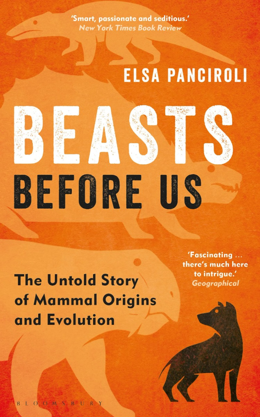 Бумажная книга «Beasts Before Us. The Untold Story of Mammal Origins and Evolution», автор Эльза Панцироли - фото №1