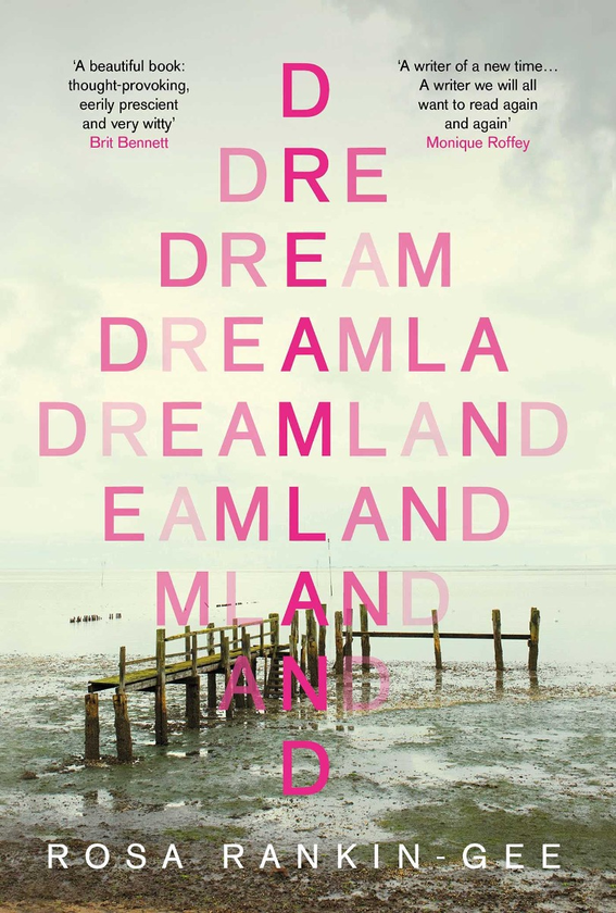 Паперова книга « Dreamland», автор Роза Ренкін-Джі - фото №1