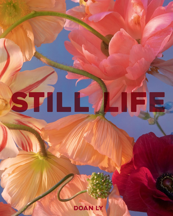 Паперова книга «Still Life» - фото №1