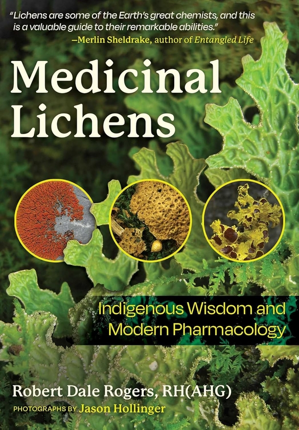 Бумажная книга «Medicinal Lichens: Indigenous Wisdom and Modern Pharmacology», автор Роберт Дейл Роджерс - фото №1