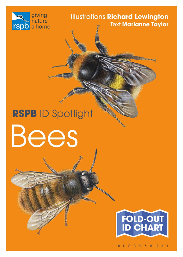 Бумажная книга «RSPB ID Spotlight - Bees», автор Марианна Тейлор - фото №1