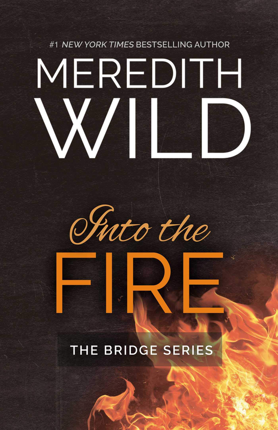 Бумажная книга «Into the Fire», автор Мередит Уайлд - фото №1