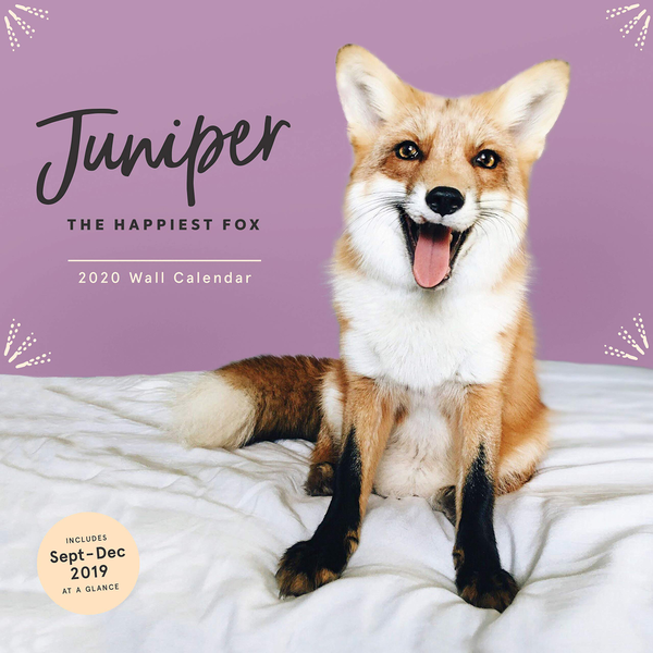 Бумажная книга «Juniper: The Happiest Fox 2020 Wall Calendar» - фото №1