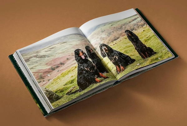 Паперова книга «Country Life's Book of Dogs», авторів Агнес Стамп, Тоні Алкок - фото №1