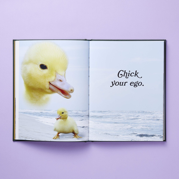 Бумажная книга «Wild Masterpieces: A Collection of Inspiring Animal and Pet Portraits», автор Эван Дуглас - фото №1