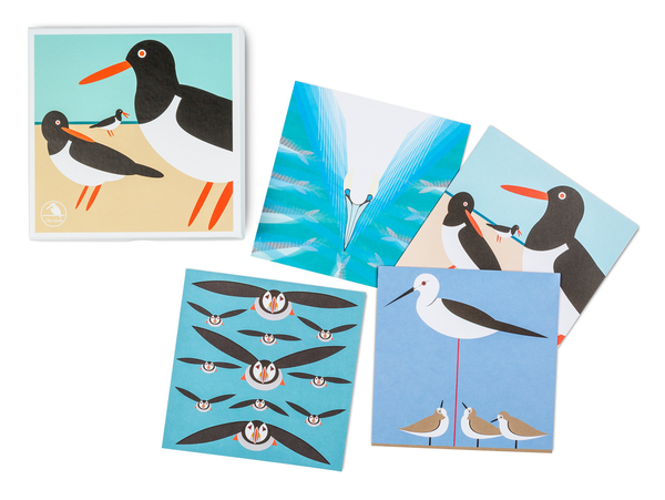 Паперова книга «I Like Birds: Oyster Catcher Boxed Notecards» - фото №1