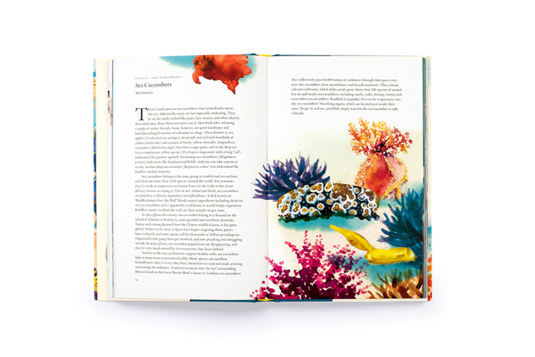 Бумажная книга «Around the Ocean in 80 Fish and other Sea Life», автор Хелен Скейлс - фото №1