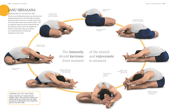 Бумажная книга «BKS Iyengar Yoga The Path to Holistic Health», автор Б. К. С. Айенгар - фото №1