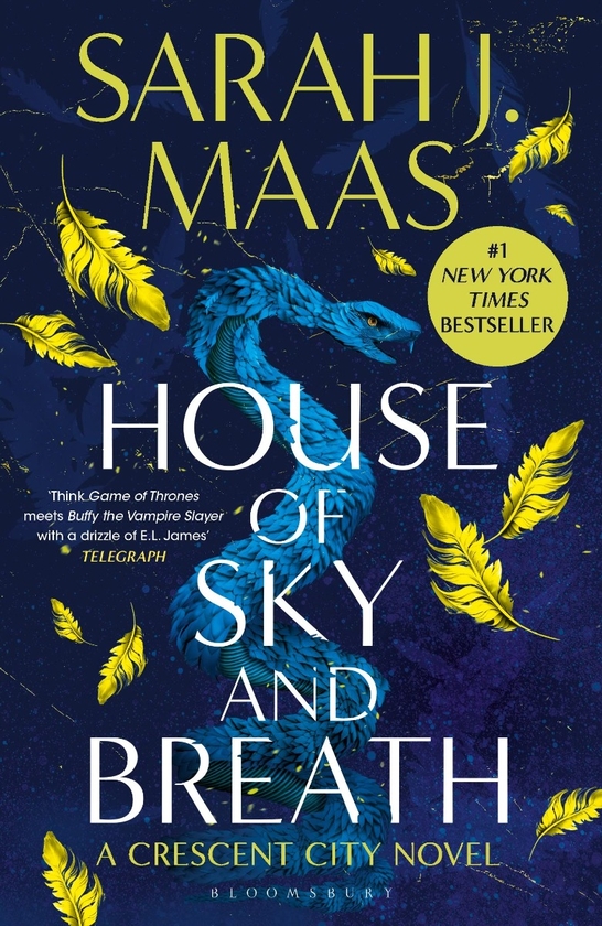 Бумажная книга «House of Sky and Breath», автор Сара Дж. Маас - фото №1