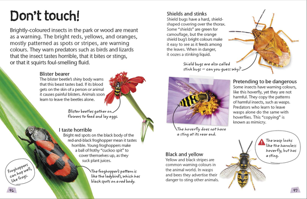 Бумажная книга «Insects and Spiders. Explore Nature with Fun Facts and Activities » - фото №1