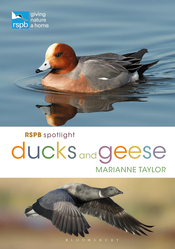 Бумажная книга «RSPB Spotligh. Ducks and Geese», автор Марианна Тейлор - фото №1
