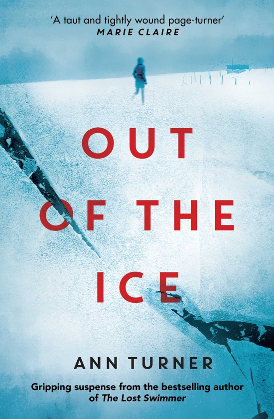 Паперова книга «Out of the Ice», автор Енн Тернер - фото №1