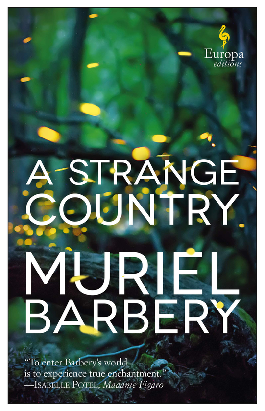 Паперова книга «A Strange Country», автор Мюріель Барбері - фото №1