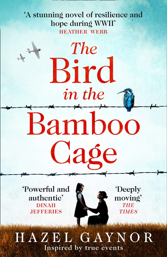 Паперова книга «The Bird in the Bamboo Cage», автор Хейзел Гейнор - фото №1