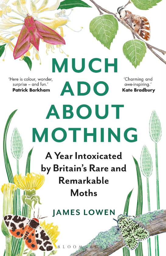 Бумажная книга «Much Ado About Mothing», автор Джеймс Лоуэн - фото №1